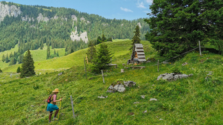 Bild von geplantem Shelterstandort Maria-Rickenbach Hüethütte