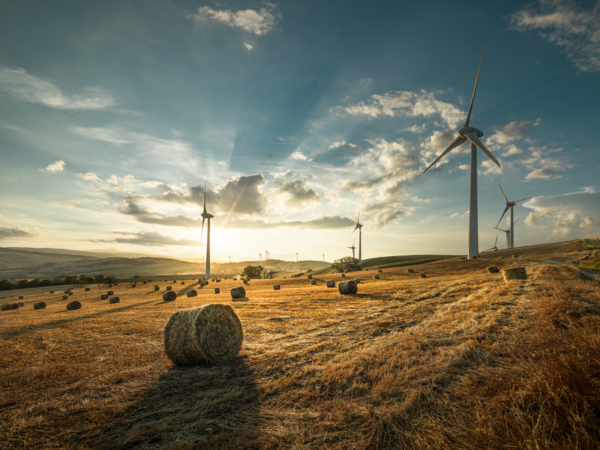 Dienstleistungen Der BKW Im Bereich Windkraft - BKW